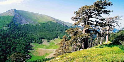 Il Parco del Pollino